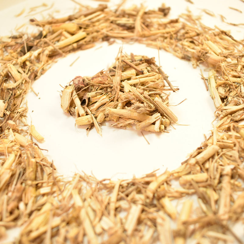 BERMUDA GRASS Dried Herb Cynodon palczasty Αγριάδα Cynodon dactylon