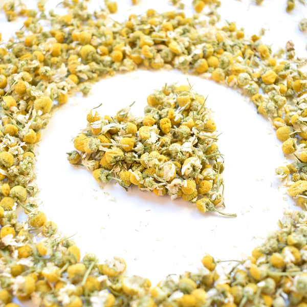 camomile