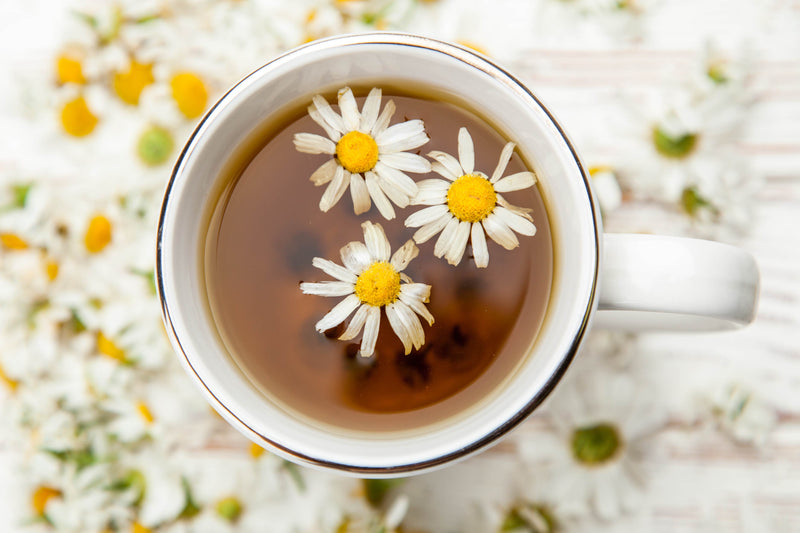 CAMOMILE Chamomile Rumianek Χαμομήλι