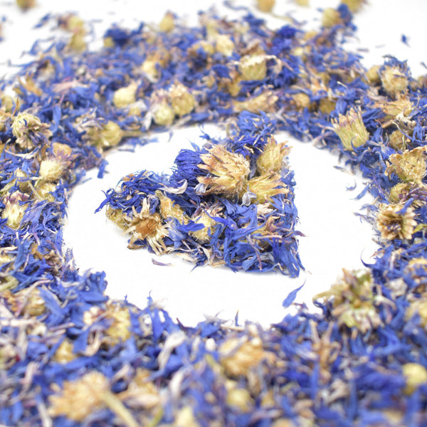 BLUE CORNFLOWERS PETALS