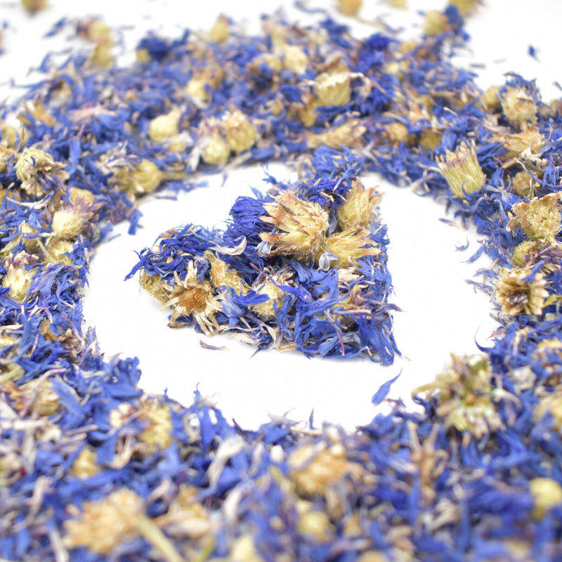 BLUE CORNFLOWERS PETALS