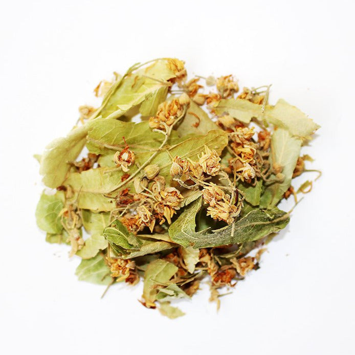 linden flower herbal tea herbs from herballove premium quality herbal teas and herbs 