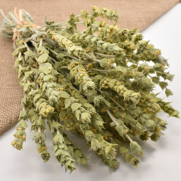 greek mountain tea sideritis